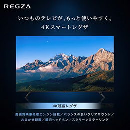 REGZA 65M550R 65V型 4K液晶テレビ BS・CS 4Kチューナー内蔵 YouTube対応 