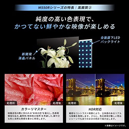 REGZA 50M550R 50V型 4K液晶テレビ Bluetooth対応 BS・CS 4Kチューナー内蔵 