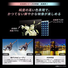 【無料長期保証1+3年付き】 REGZA 85E350R 85V型 4K液晶テレビ 地デジ・BS・110度CS・4K衛星放送チューナー内蔵