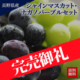 【11月中旬以降のお届け予定】[一富士][長野県産]シャインマスカット・ナガノパープル セット 化粧箱入
