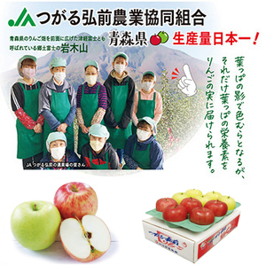 【2月上旬からお届け予定】[青森県産] 葉とらずりんご「ふじ・王林」食べ比べセット（特選）