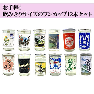 【酒】お手軽！飲みきりサイズのワンカップ12本セット