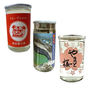 【酒】お手軽！飲みきりサイズのワンカップ12本セット