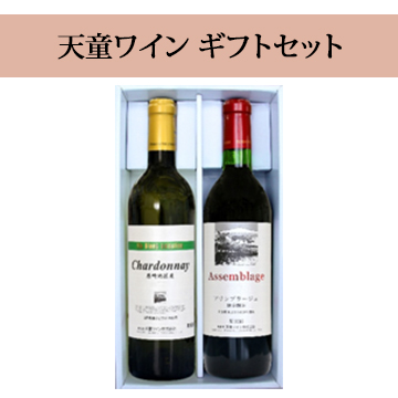 【酒】天童ワイン ギフトセット (赤白) (T2-28)