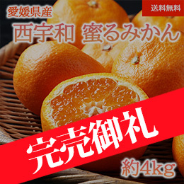 【11月下旬以降のお届け予定】[愛媛県産]西宇和 蜜るみかん(L〜S)