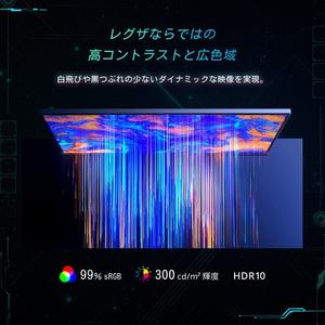 REGZA RM-G245R 23.8V型 フルHD ゲーミングモニター Fast IPSパネル採用 240Hz 1ms(GTG） sRGBカバー率 99% ブラック