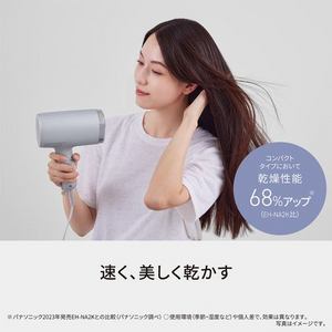 パナソニック EH-NA7M-H ヘアードライヤー ナノケア 折りたたみタイプ モイストグレー