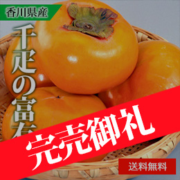 【11月中旬以降のお届け予定】[香川県産]千疋の富有柿 大玉3個 化粧箱入