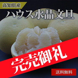 [高知県産]ハウス水晶文旦 化粧箱入