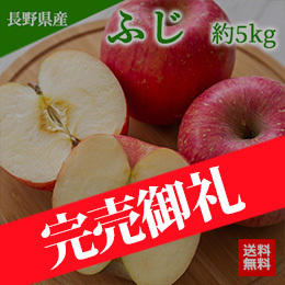 【11月下旬以降のお届け予定】[一富士][長野県産]ふじ 約5kg(14玉〜18玉) 