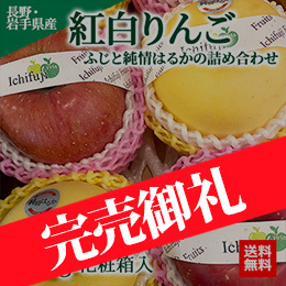 【11月下旬以降のお届け予定】[一富士][長野・岩手県産]紅白りんご(ふじと純情はるかの詰め合わせ) 約5kg 化粧箱入