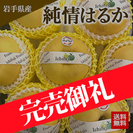 【11月中旬以降のお届け予定】[一富士][岩手県産]純情はるか(りんご) 約5kg(14玉〜18玉) 