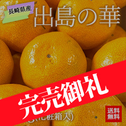 【12月上旬以降のお届け予定】[一富士][長崎県産]出島の華(柑橘) 約3kg(2S〜Mサイズ)