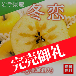 【12月中旬以降のお届け予定】[一富士][岩手県産]冬恋(りんご) 化粧箱入 約2.5kg