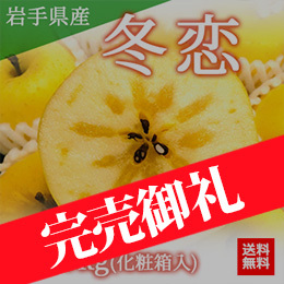 【12月中旬以降のお届け予定】[一富士][岩手県産]冬恋(りんご) 化粧箱入 約2.5kg