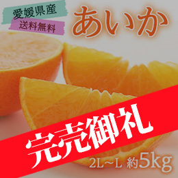 [愛媛県産]あいか 約5kg
