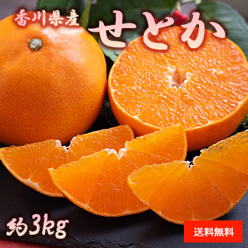 【2月上旬以降のお届け予定】[香川県産] せとか 約3kg 化粧箱入