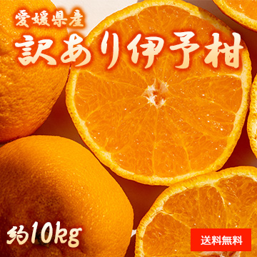 【1月中旬以降のお届け予定】[愛媛県産] 訳あり伊予柑 約10kg
