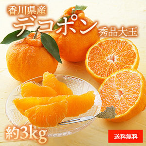 【2月上旬以降のお届け予定】[香川県産] デコポン 約3kg 秀品 大玉 化粧箱入