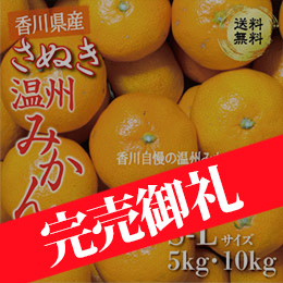 [香川県産]さぬき温州みかん(L〜S)