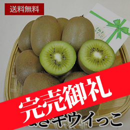 [香川県産]さぬきキウイっこ&reg; 約800g(15〜25個)