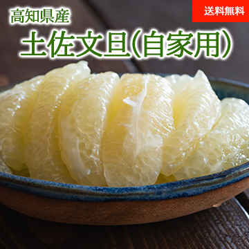 【2月上旬以降のお届け予定】[高知県産] 土佐文旦 自家用