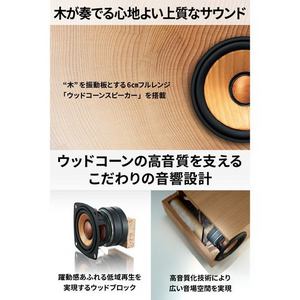 JVCケンウッド EX-DM10 ポータブルワイヤレススピーカー Victor EXDM10