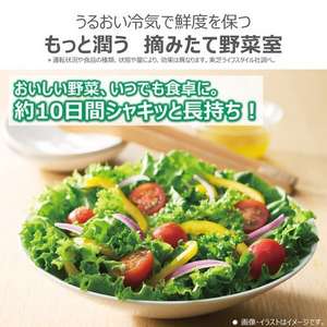 【無料長期保証1+5年付き】2026年03月02日発売予定！予約受付中 東芝 冷蔵庫 461L 観音開き 6ドア 幅65cm 摘みたて野菜室 おいしさ持続上質冷凍 きれいループ GR-A460FZ(UC) ピンク系