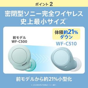 ソニー ワイヤレス イヤホン 左右分離 IPX4 最大22時間 USB-C WF-C510 WFC510 BC ブラック系