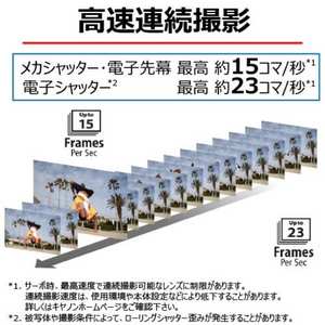 キヤノン ミラーレスカメラ EOS R10 18-45 IS STM レンズキット 