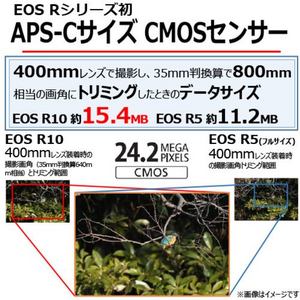 キヤノン ミラーレスカメラ EOS R10 18-45 IS STM レンズキット 