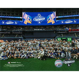 【数量限定】「大谷翔平」 ワールドシリーズ連覇 プレミアムコレクションセット額