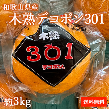 [一富士][和歌山県産] 木熟デコポン301 約3kg