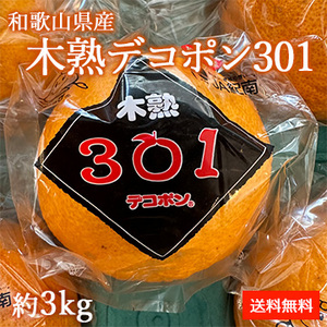 [一富士][和歌山県産] 木熟デコポン301 約3kg