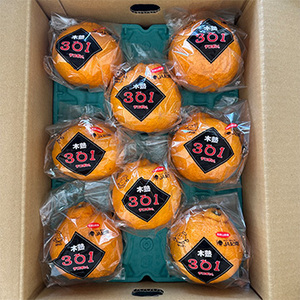 [一富士][和歌山県産] 木熟デコポン301 約3kg