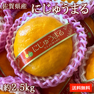 [一富士][佐賀県産] にじゅうまる 約2.5kg