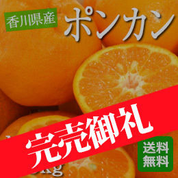 【1月中旬以降のお届け予定】[高知県産] ポンカン 約5kg