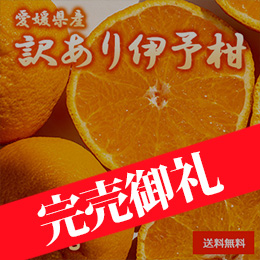 【1月中旬以降のお届け予定】[愛媛県産] 訳あり伊予柑 約10kg
