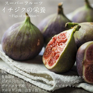 ドライいちじく 約200g 無添加・無漂白