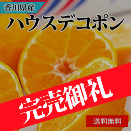 【12月中旬以降のお届け予定】[香川県産]ハウスデコポン
