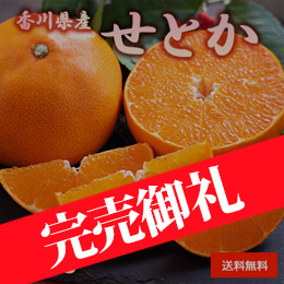 【2月上旬以降のお届け予定】[香川県産] せとか 約3kg 化粧箱入