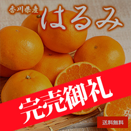 【2月上旬以降のお届け予定】[香川県産] はるみ 約5kg