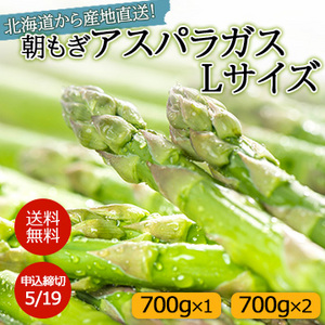 【5月下旬以降のお届け予定】北海道から産地直送！朝もぎアスパラガス Lサイズ