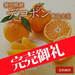 【2月上旬以降のお届け予定】[香川県産] デコポン 約3kg 秀品 大玉 化粧箱入