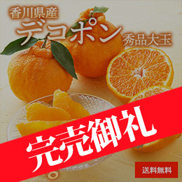【2月上旬以降のお届け予定】[香川県産] デコポン 約3kg 秀品 大玉 化粧箱入
