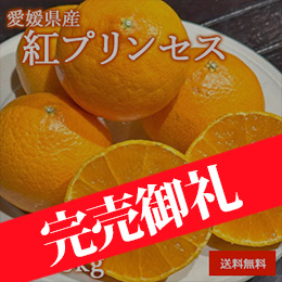 [一富士][愛媛県産] 紅プリンセス