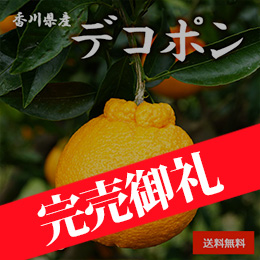 【2月上旬以降のお届け予定】[香川県産] デコポン 約5kg