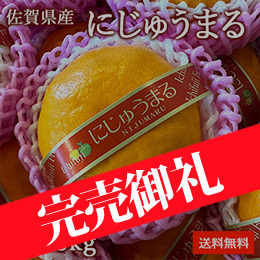 [一富士][佐賀県産] にじゅうまる 約2.5kg