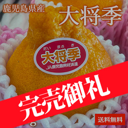 [一富士][鹿児島県産] 大将季 約5kg