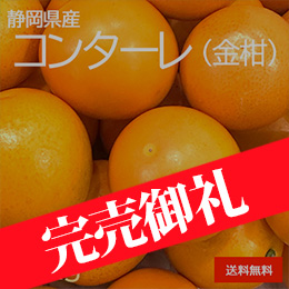 [一富士][静岡県産] コンターレ(金柑)